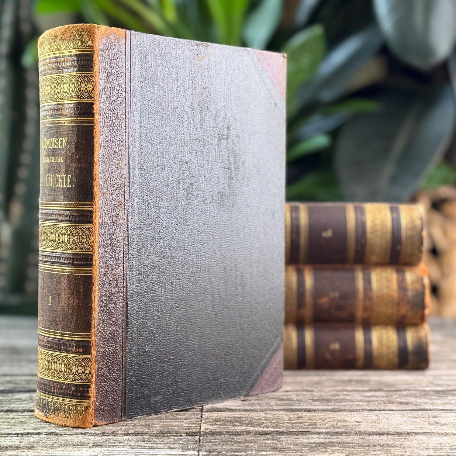 Antique European Leather Books, Theodor Mommsen, 1907