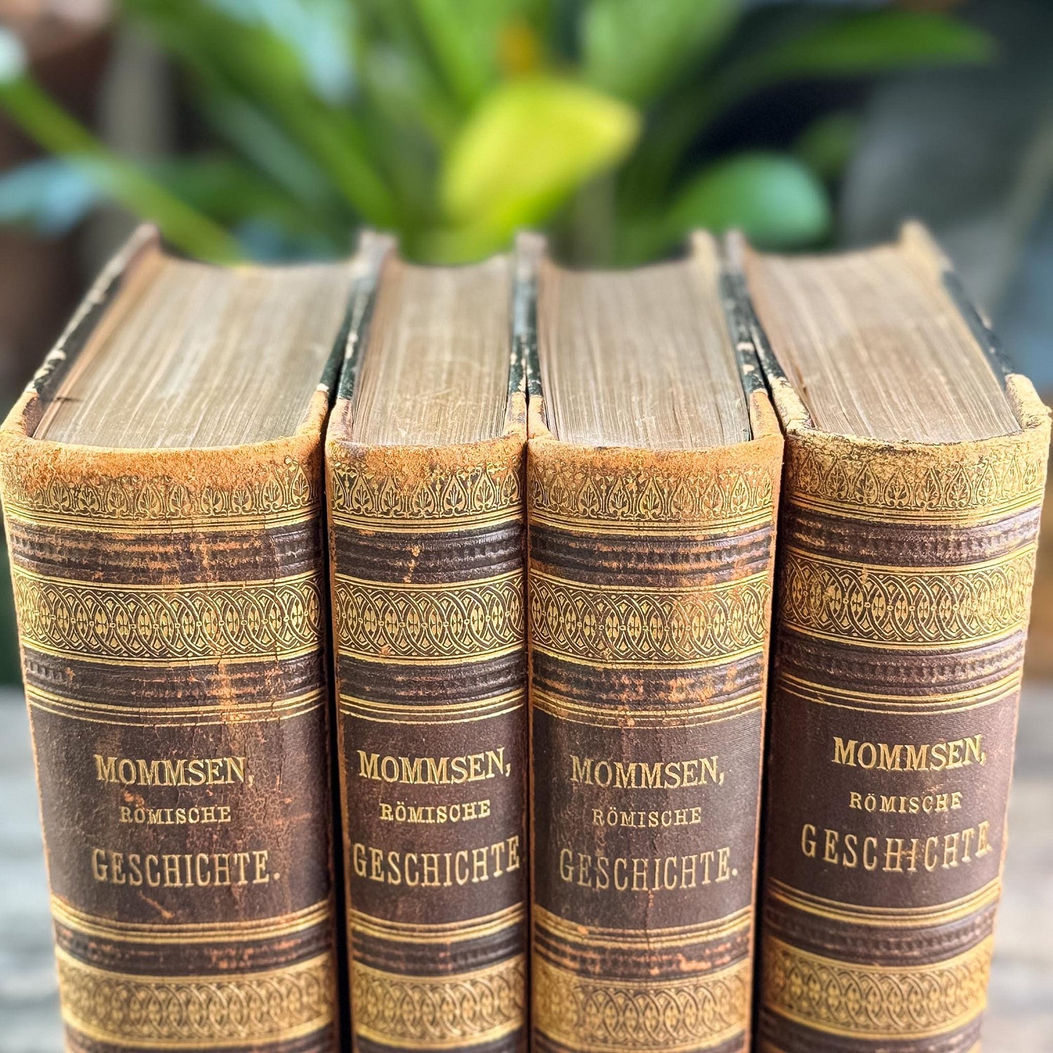 Antique European Leather Books, Theodor Mommsen, 1907