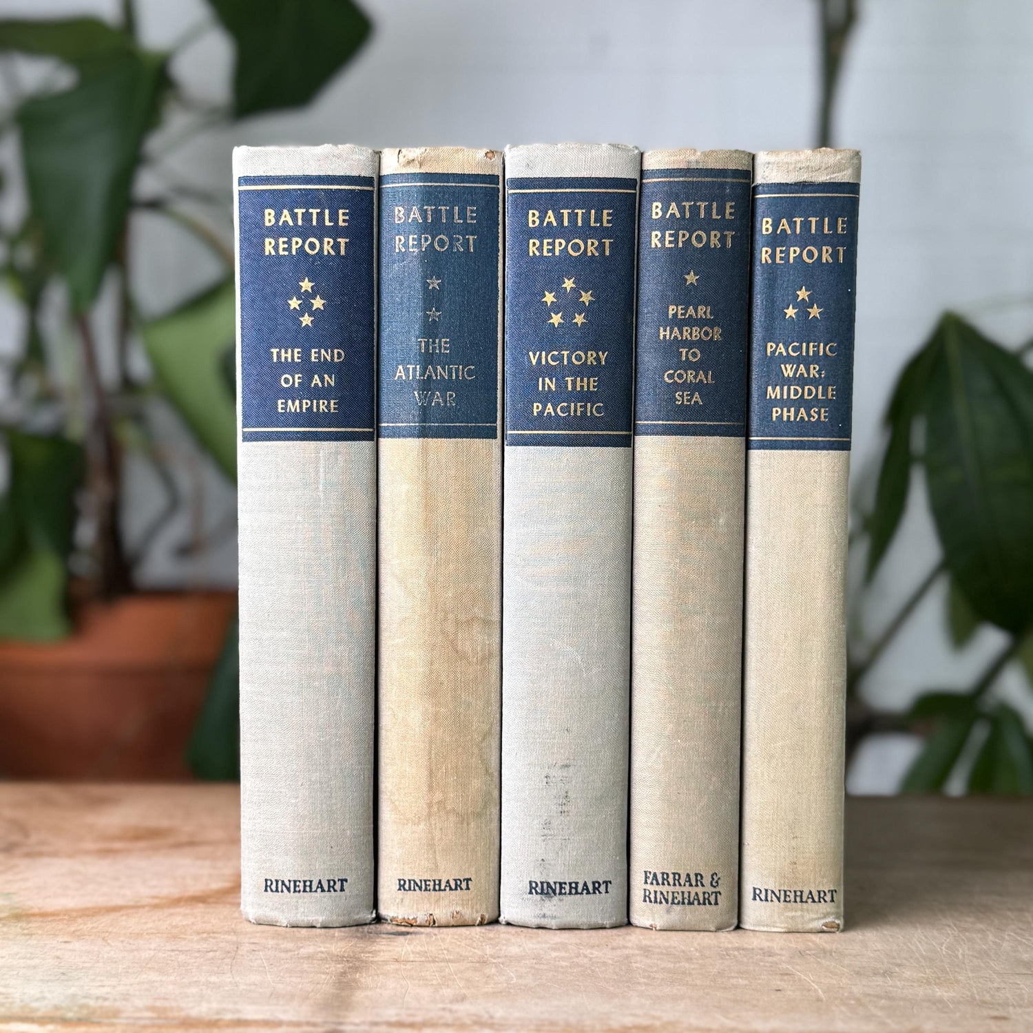 Neutral Vintage Book Bundles