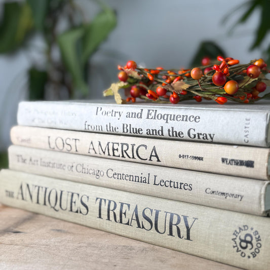 Vintage Neutral Linen Book Stack: History, Art, Antiques