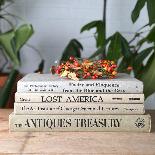 Vintage Neutral Linen Book Stack: History, Art, Antiques