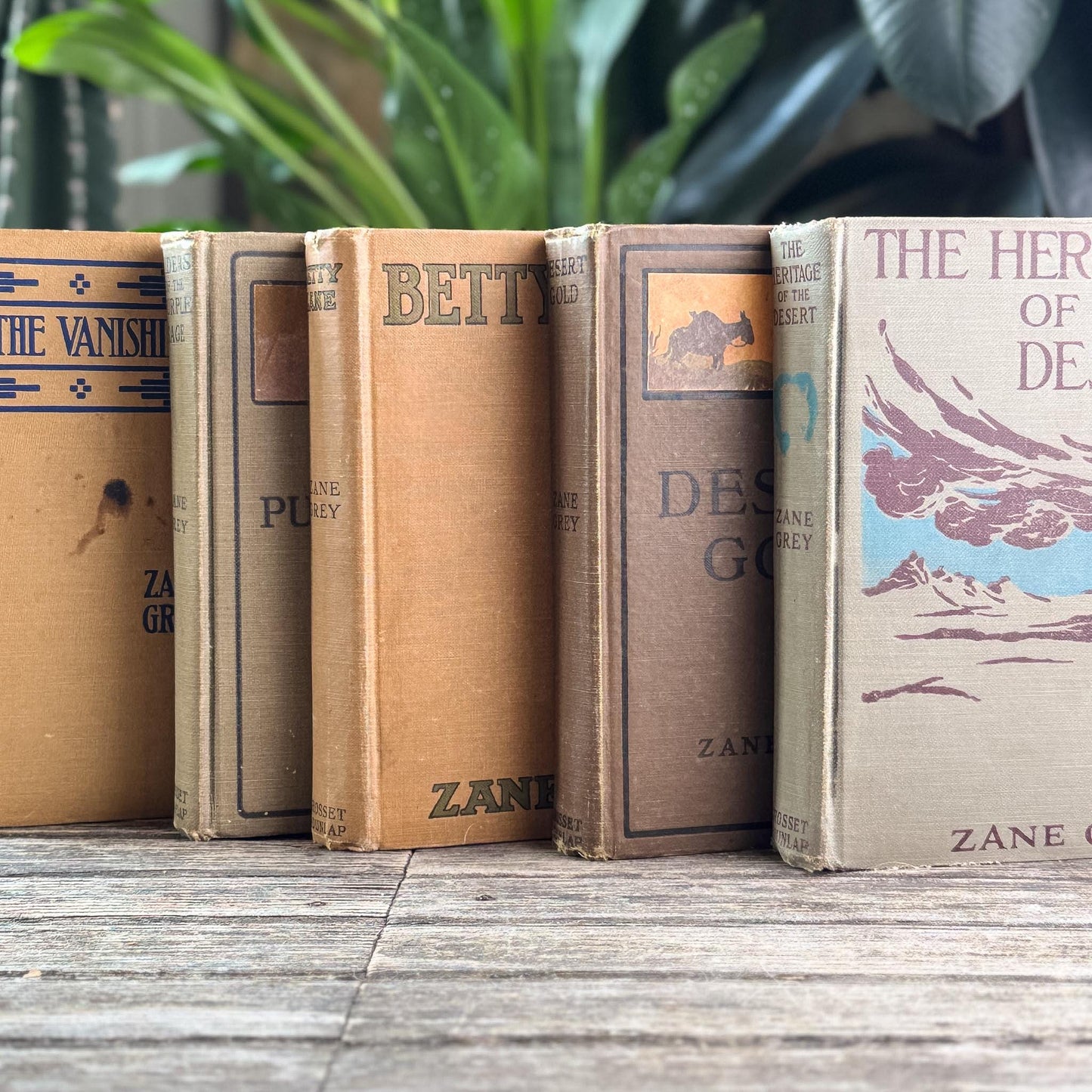 Antique Old West Zane Grey Novel Bundle in Orange and Brown