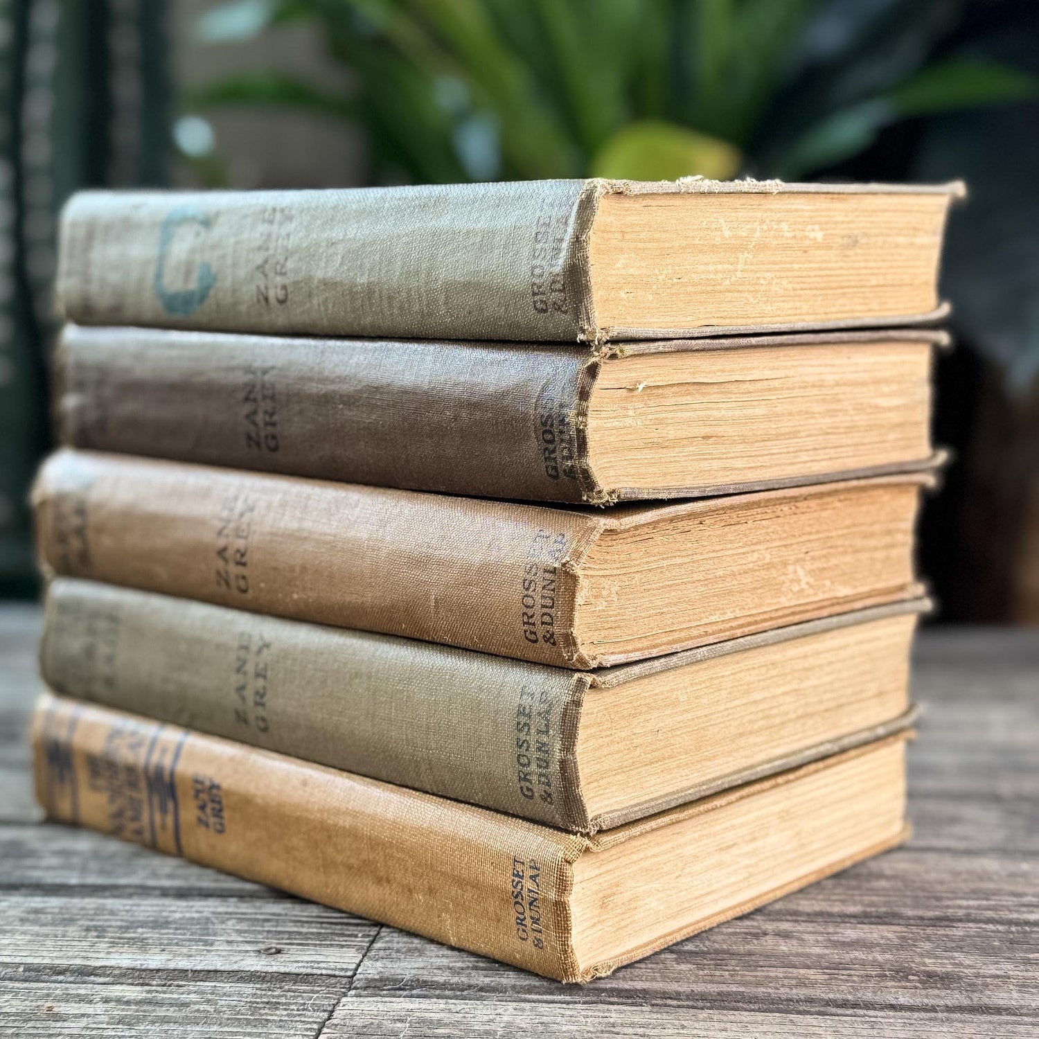 Antique Old West Zane Grey Novel Bundle in Orange and Brown