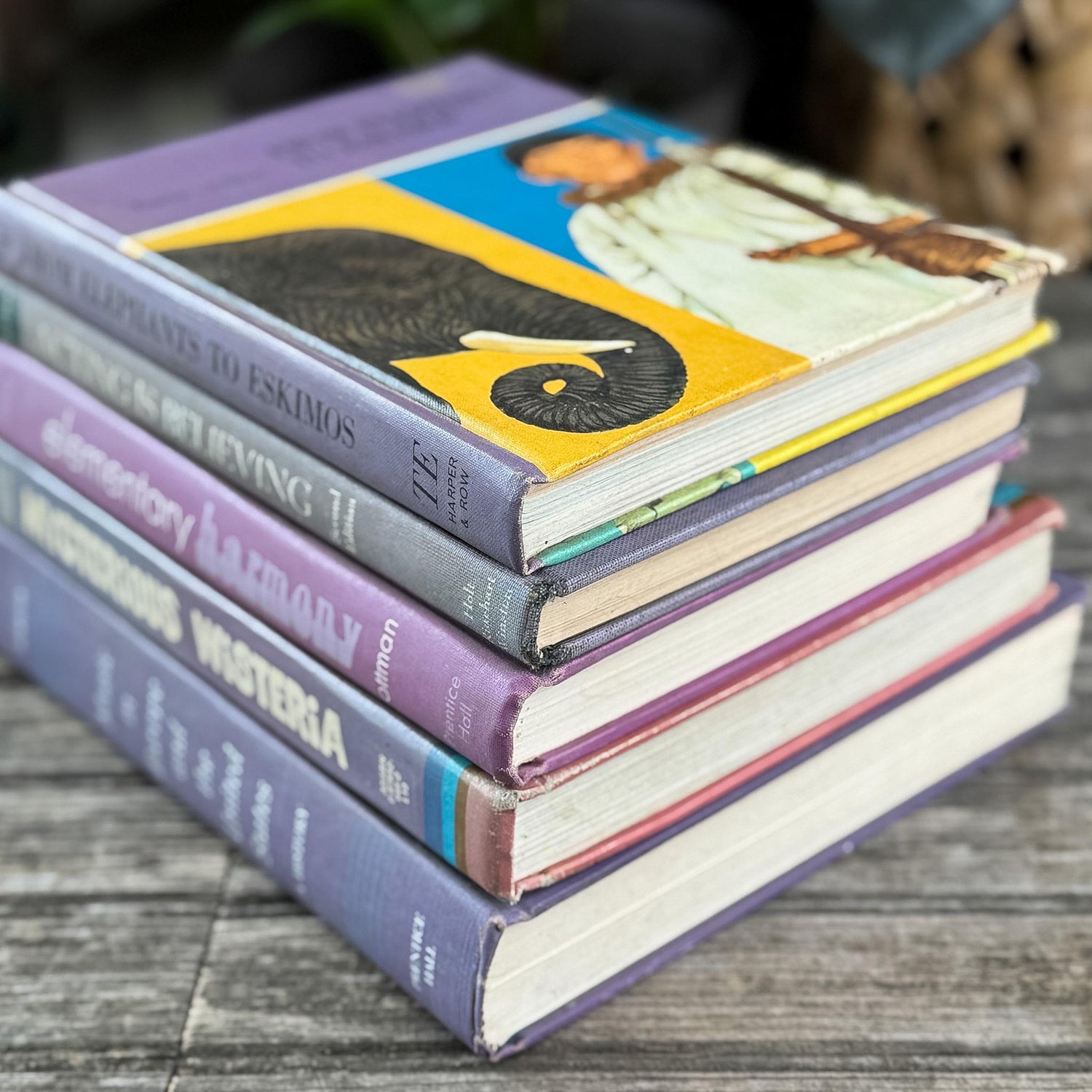 Vintage Retro Purple Textbook Bubndle