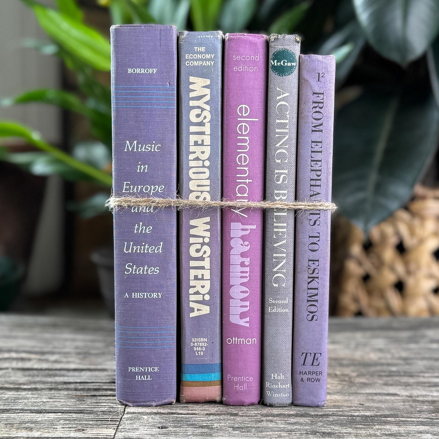 Vintage Retro Purple Textbook Bubndle