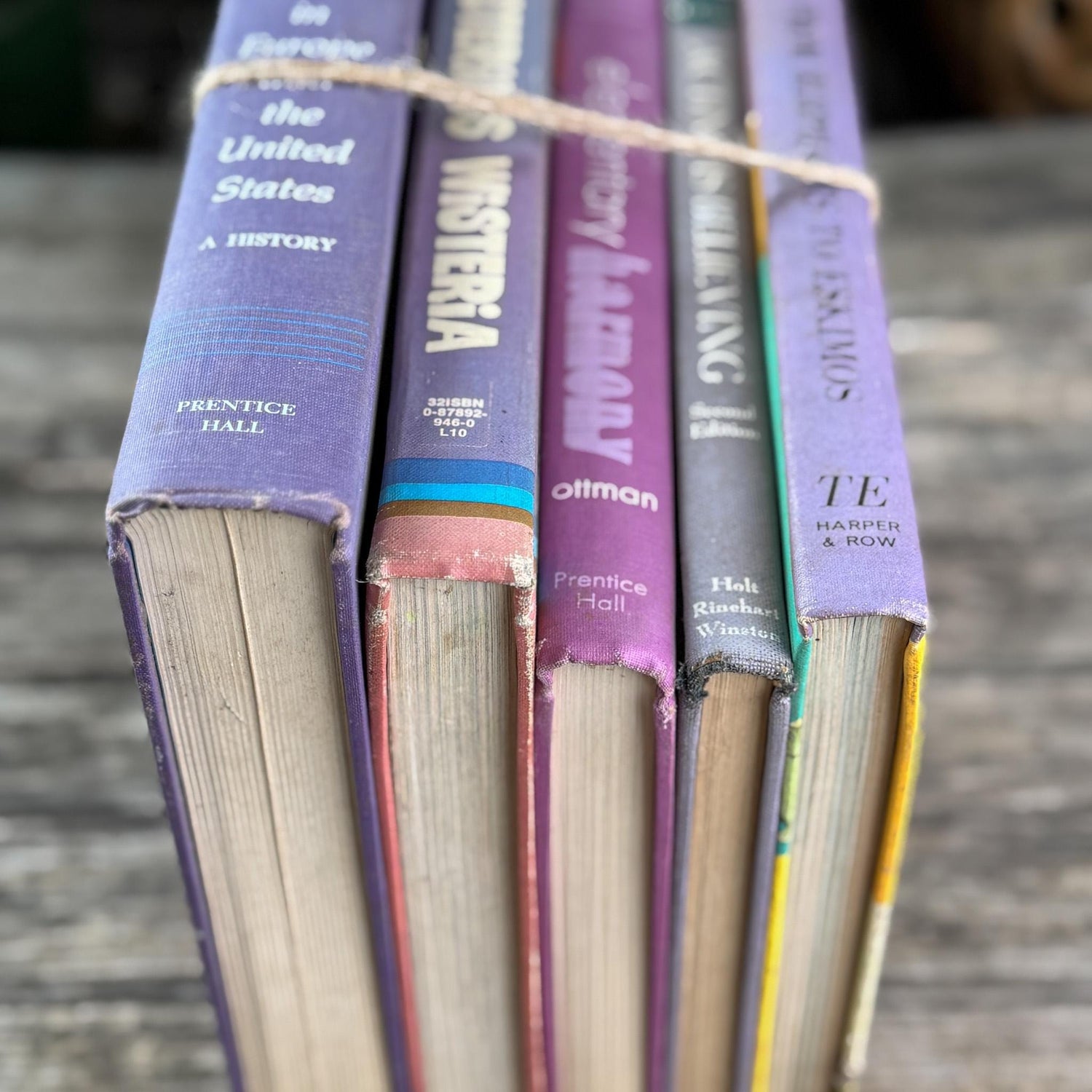 Vintage Retro Purple Textbook Bubndle
