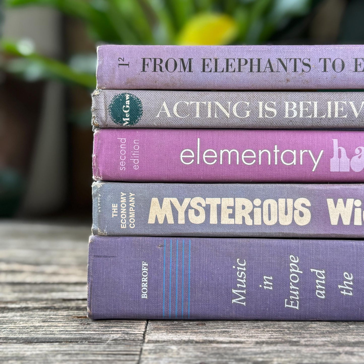 Vintage Retro Purple Textbook Bubndle