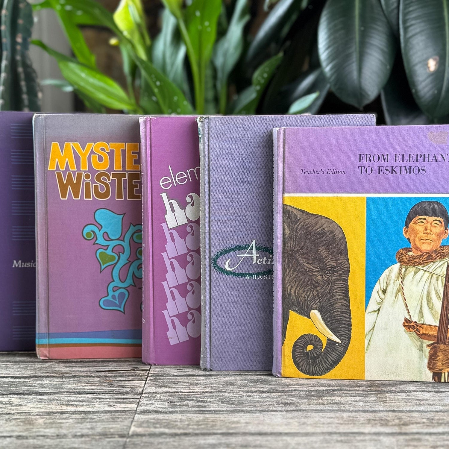 Vintage Retro Purple Textbook Bubndle