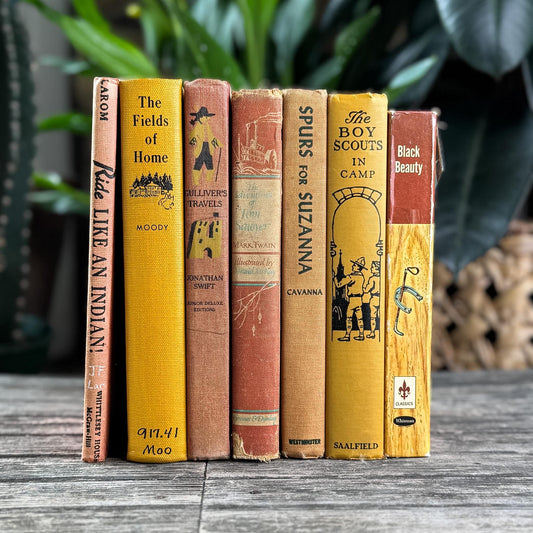 Vintage Children's Shabby Book Bundle in Orange, yellow, Mustard, and Red for Shelf Styling