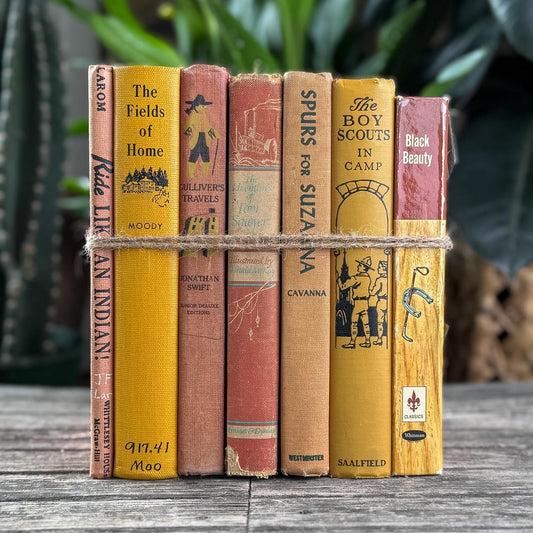 Vintage Children's Shabby Book Bundle in Orange, yellow, Mustard, and Red for Shelf Styling