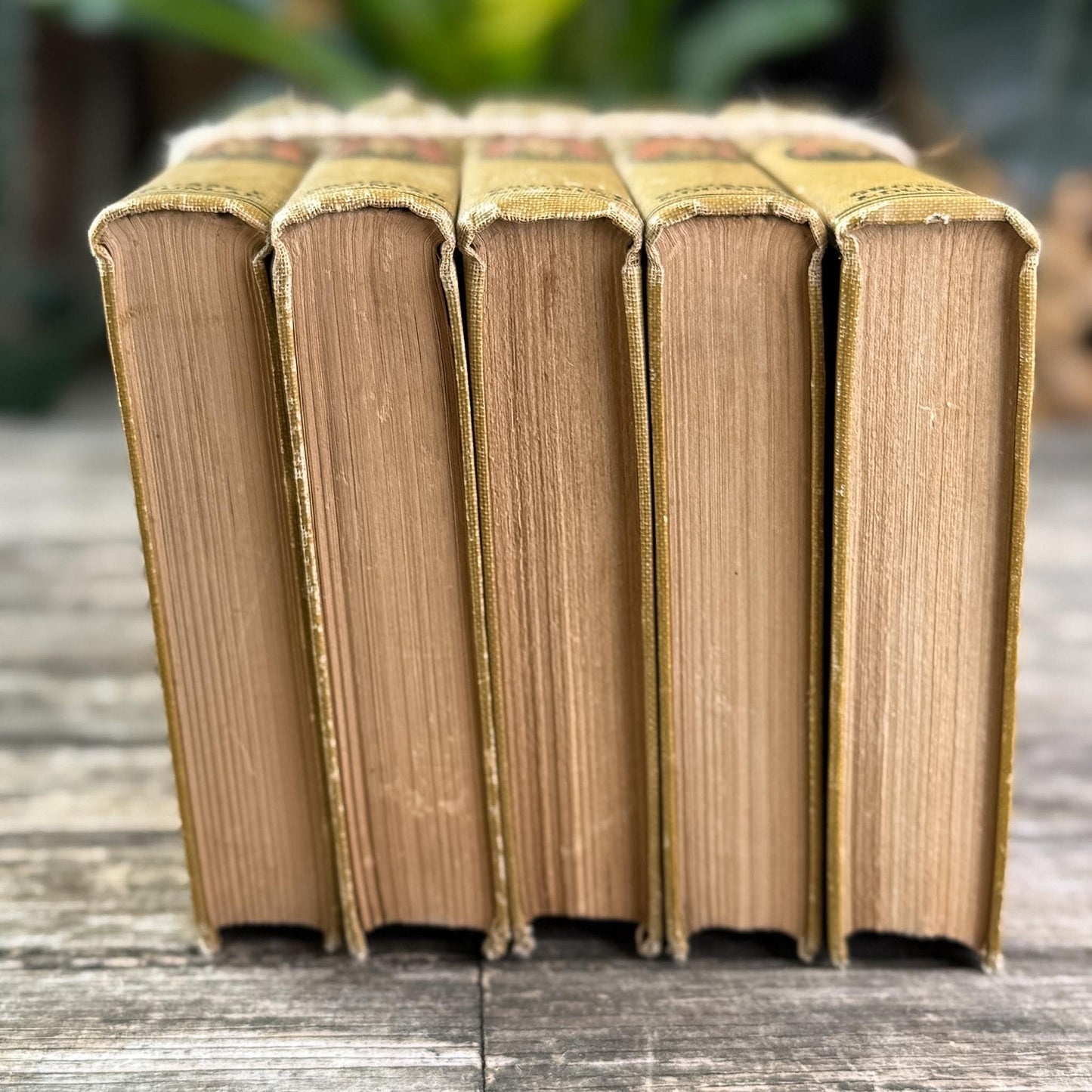 Antique 1920s Tom Swift Books for Boys, Neutral Tan Book Bundle