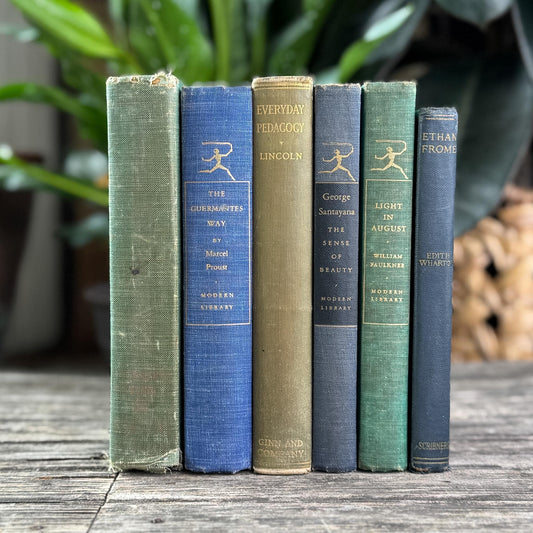 Faded Cozy Green and Blue Literary Book Set With Modern Library Titles