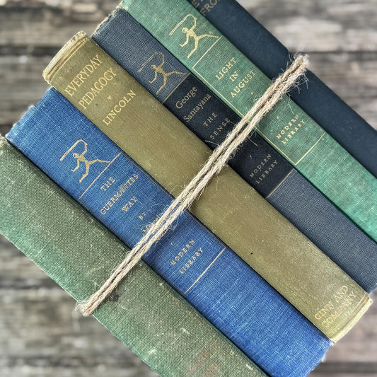 Faded Cozy Green and Blue Literary Book Set With Modern Library Titles