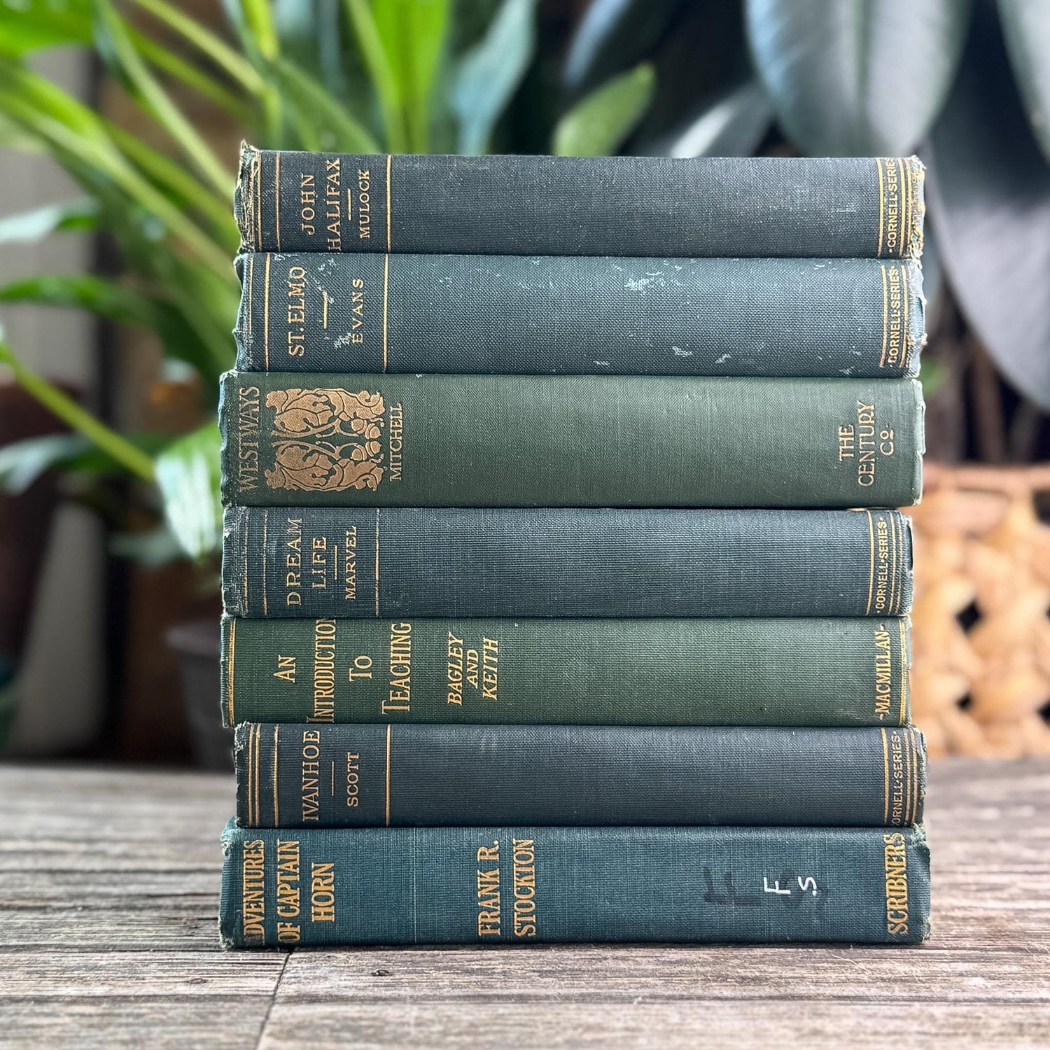 Antique Green Classic Literature Books for Dark Academia Shelf Styling