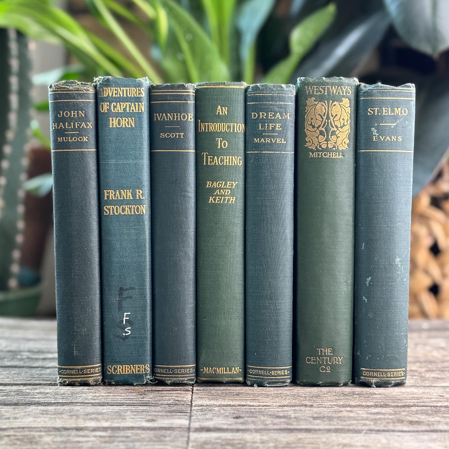 Antique Green Classic Literature Books for Dark Academia Shelf Styling