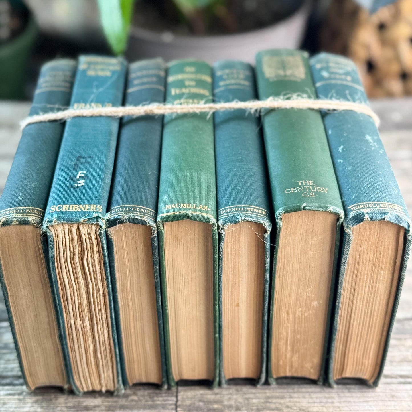 Antique Green Classic Literature Books for Dark Academia Shelf Styling
