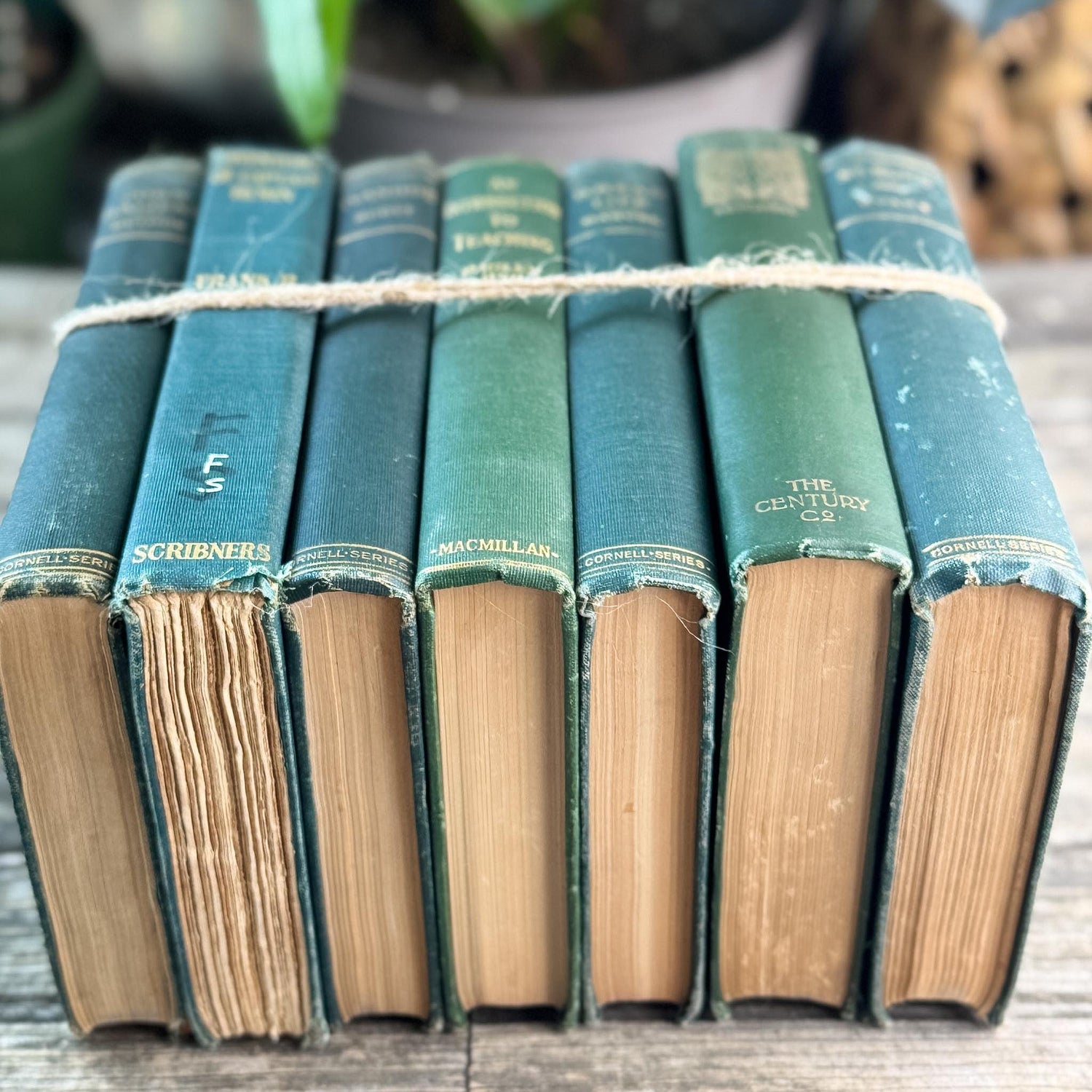Antique Green Classic Literature Books for Dark Academia Shelf Styling