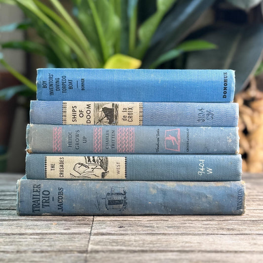 Blue Shabby Rustic Vintage Children’s Book Bundle Bundle