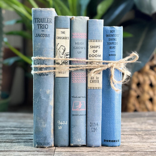 Blue Shabby Rustic Vintage Children’s Book Bundle Bundle