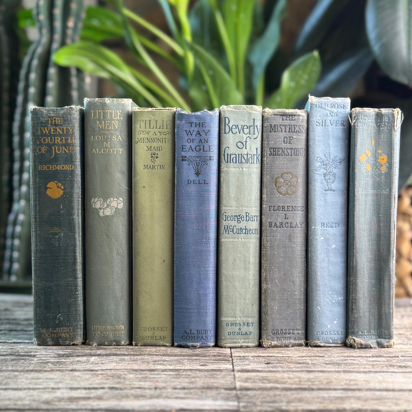 Antique Green and Blue Domestic Fiction Novels
