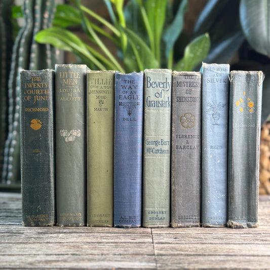 Antique Green and Blue Domestic Fiction Novels