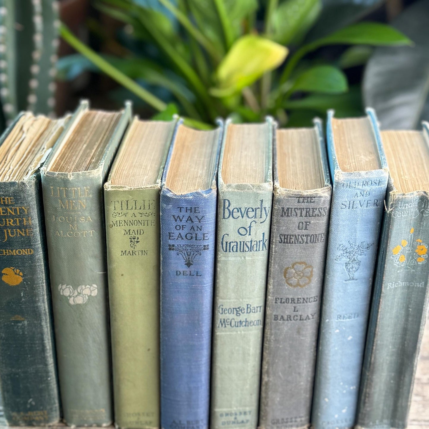 Antique Green and Blue Domestic Fiction Novels
