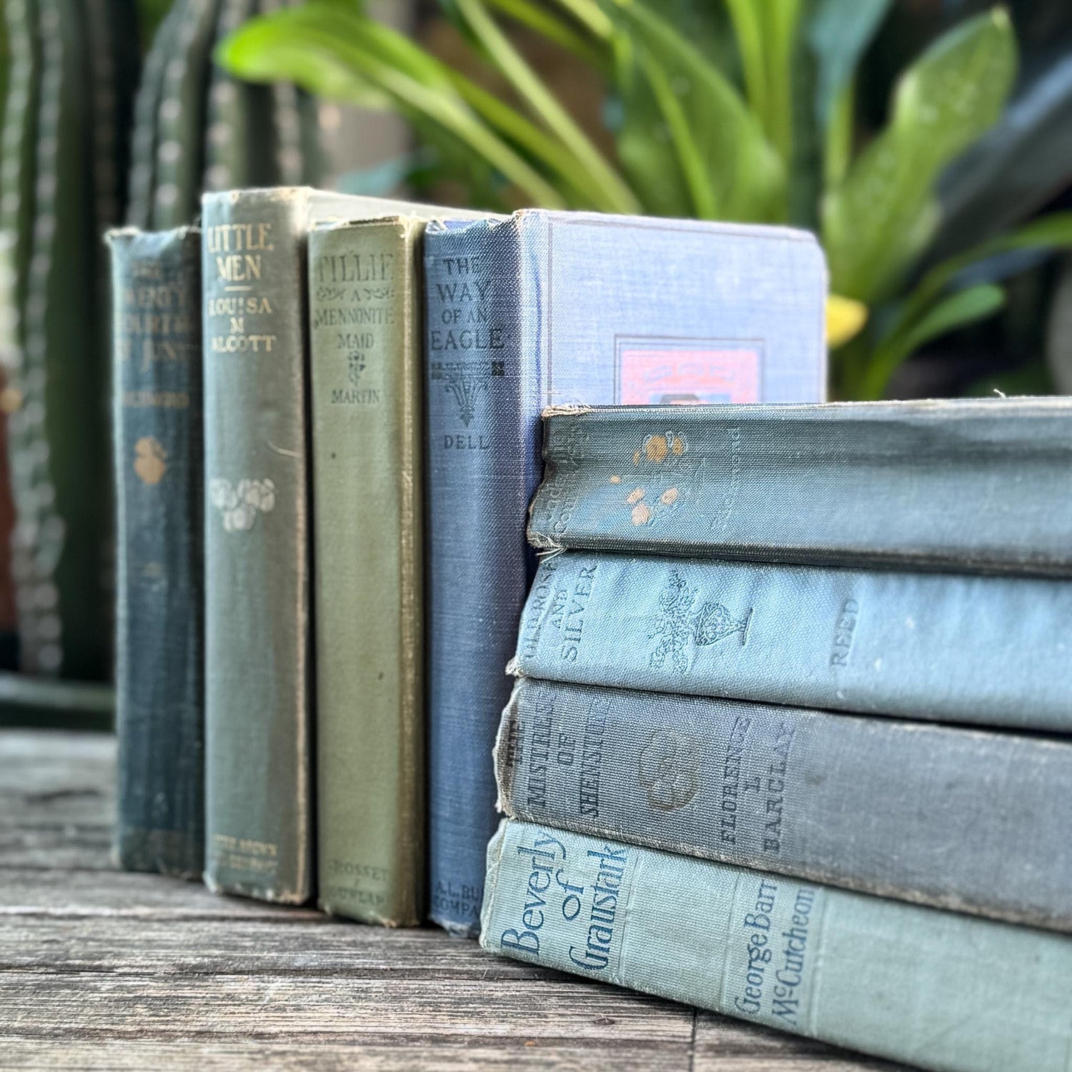 Antique Green and Blue Domestic Fiction Novels