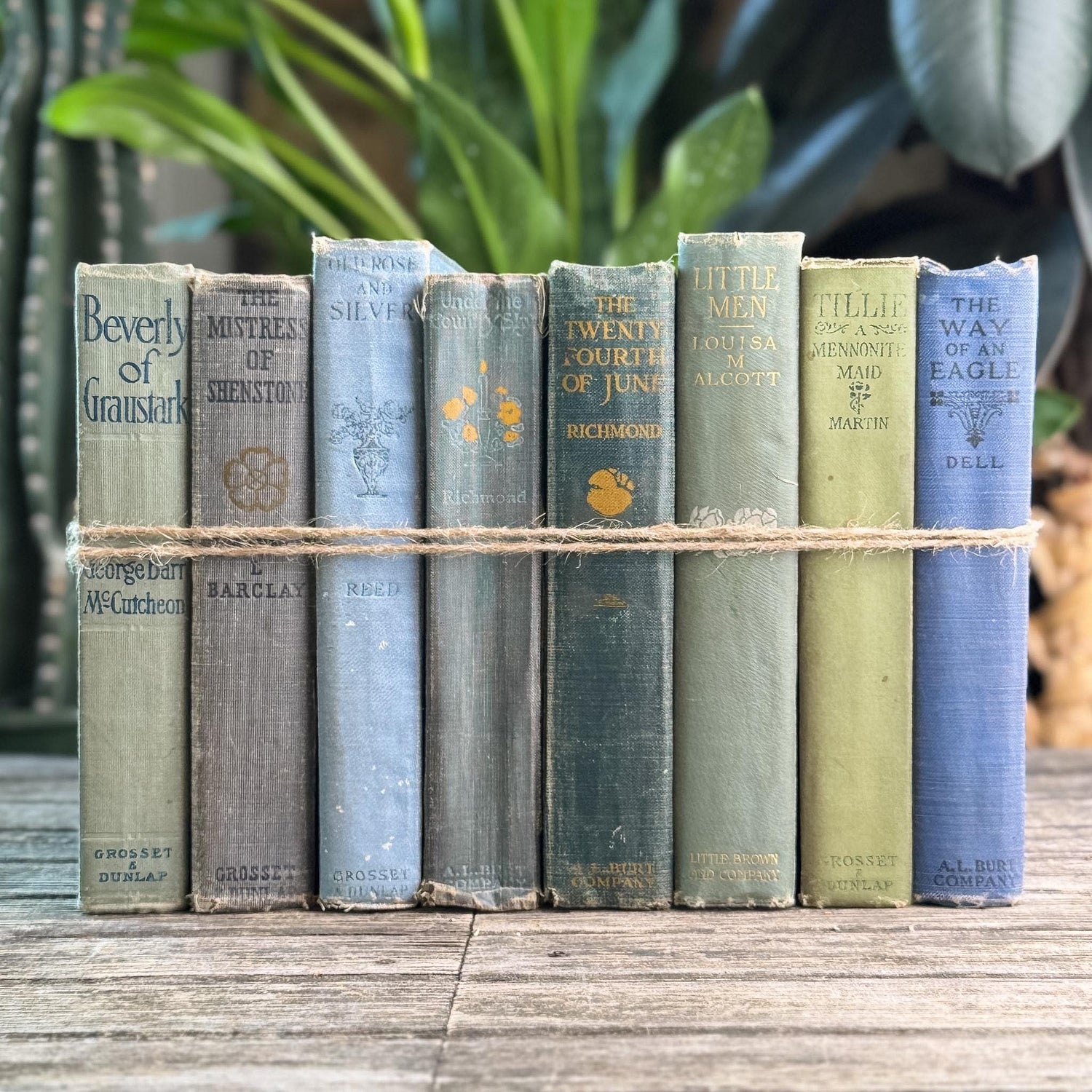Antique Green and Blue Domestic Fiction Novels