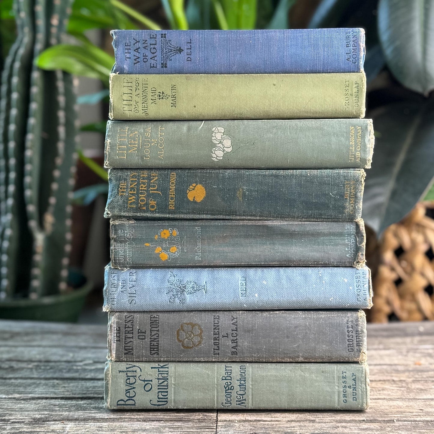 Antique Green and Blue Domestic Fiction Novels