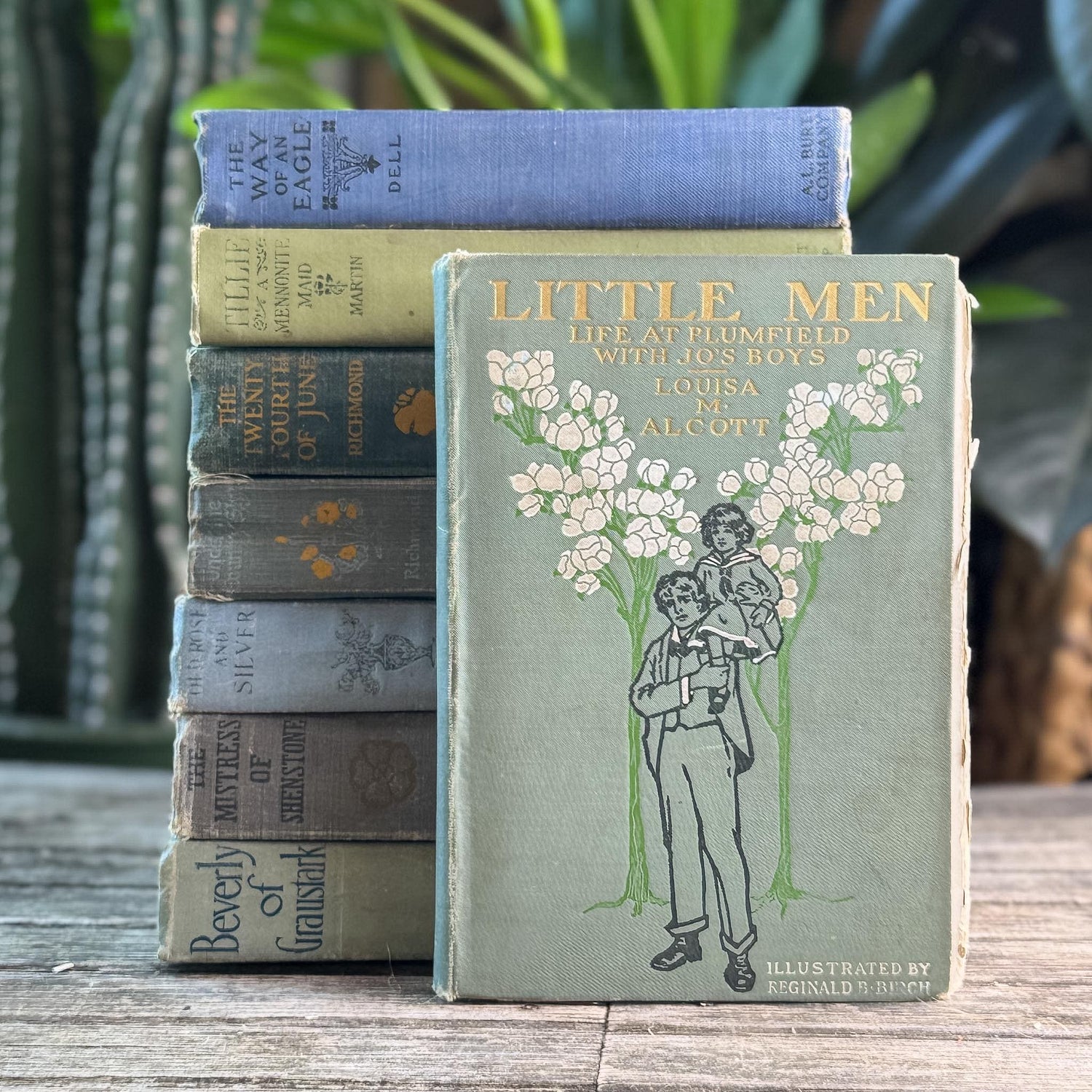 Antique Green and Blue Domestic Fiction Novels