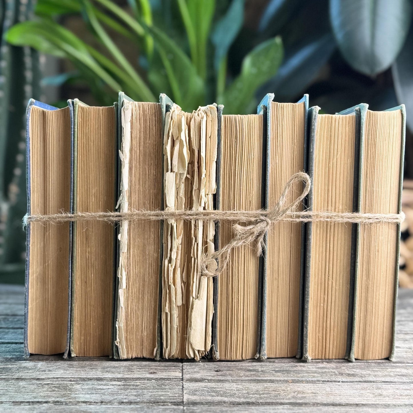 Antique Green and Blue Domestic Fiction Novels
