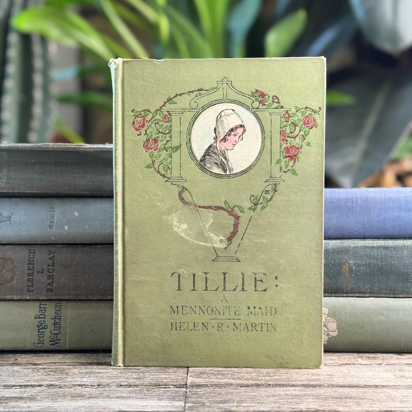 Antique Green and Blue Domestic Fiction Novels