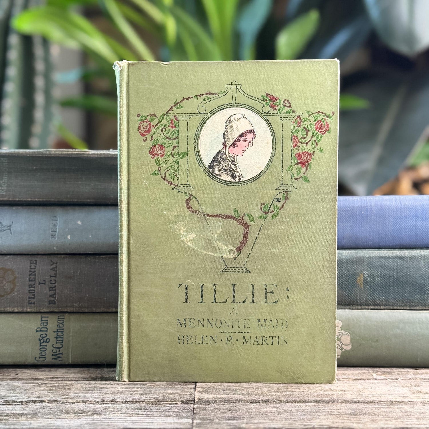 Antique Green and Blue Domestic Fiction Novels