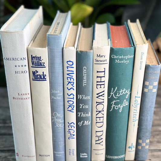 Mid Century Modern White & Blue Vintage Book Set