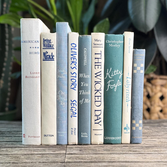 Mid Century Modern White & Blue Vintage Book Set