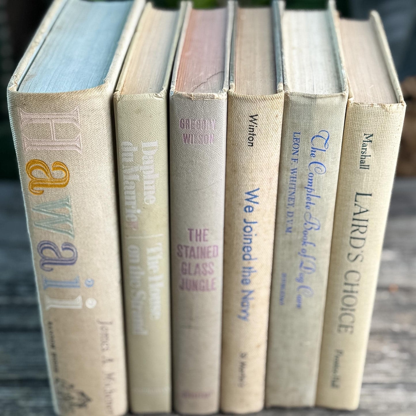 Vintage Shabby Cream Textured Linen Book Set