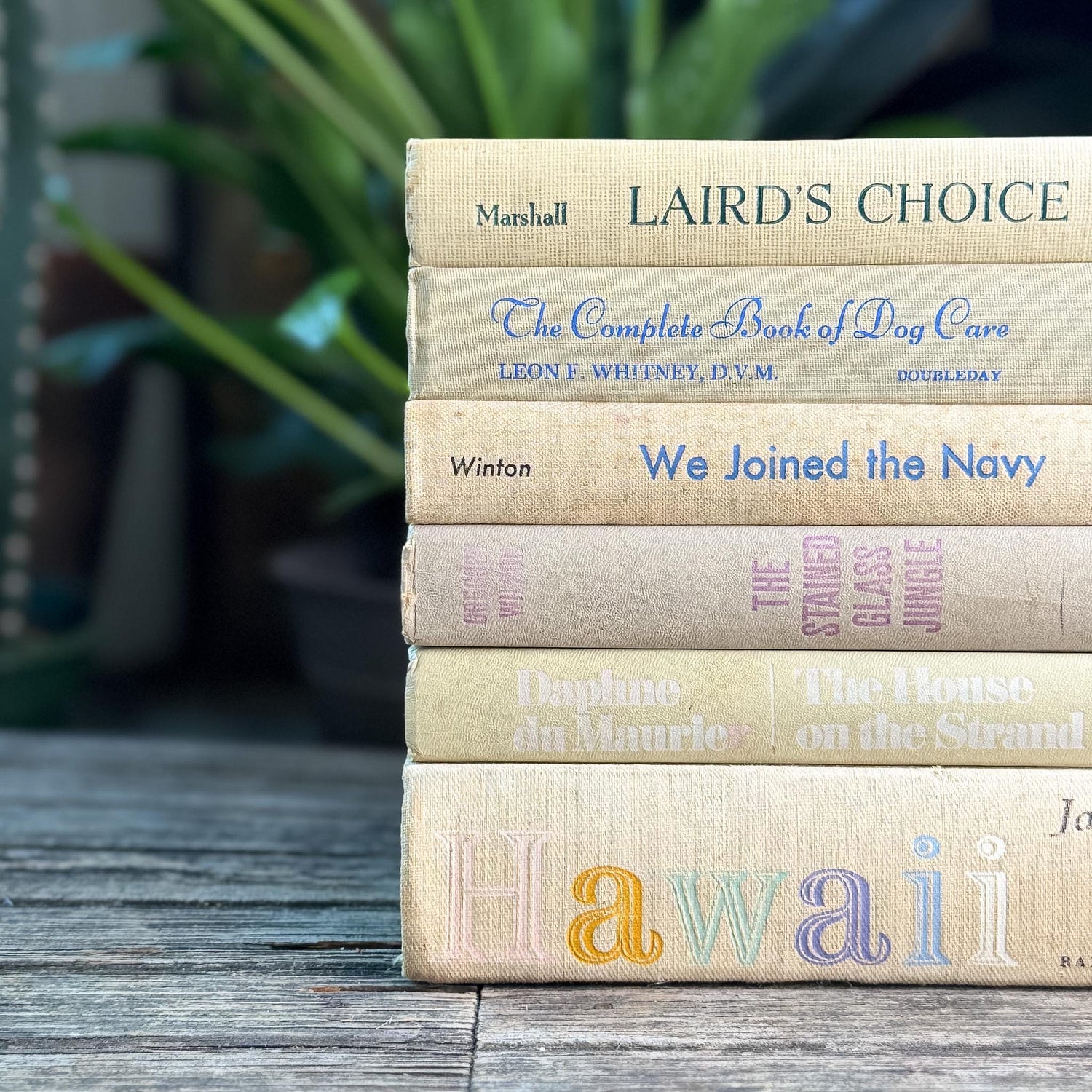 Vintage Shabby Cream Textured Linen Book Set