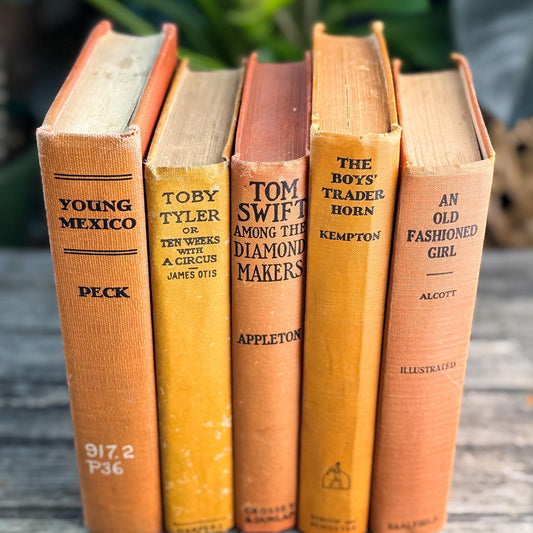 Antique Orange Children's Books for Shelf Styling
