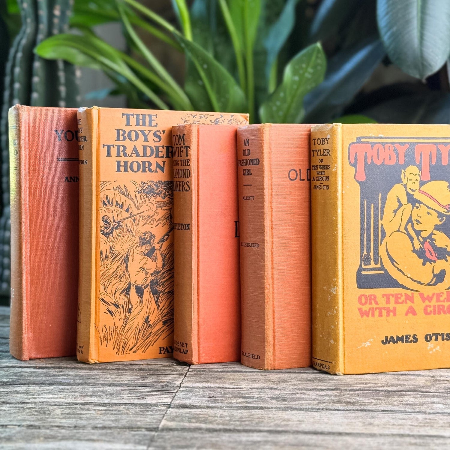 Antique Orange Children's Books for Shelf Styling – Pretty Old Books