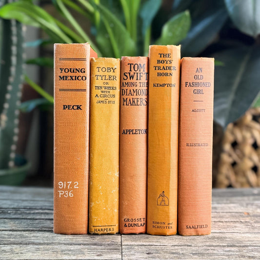 Antique Orange Children's Books for Shelf Styling