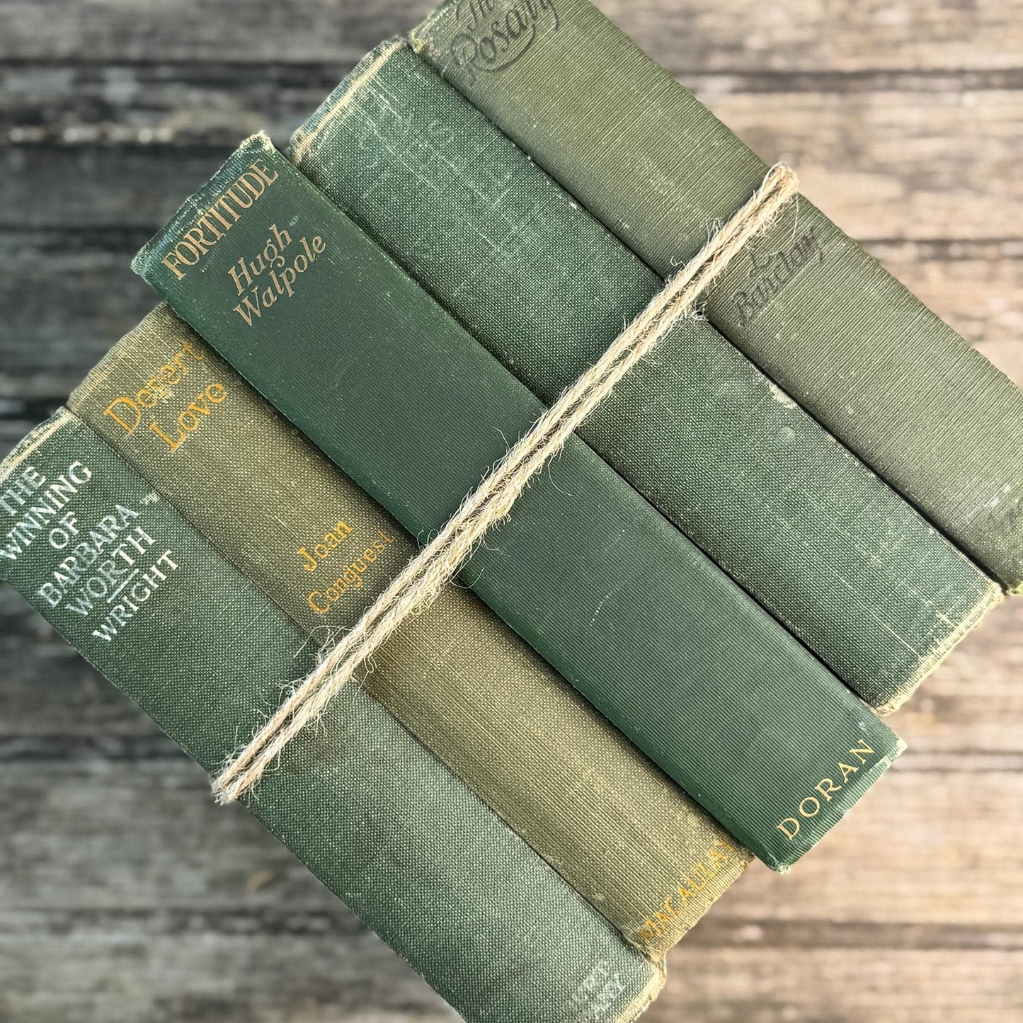 Antique Green Novel Bundle For Shelf Styling