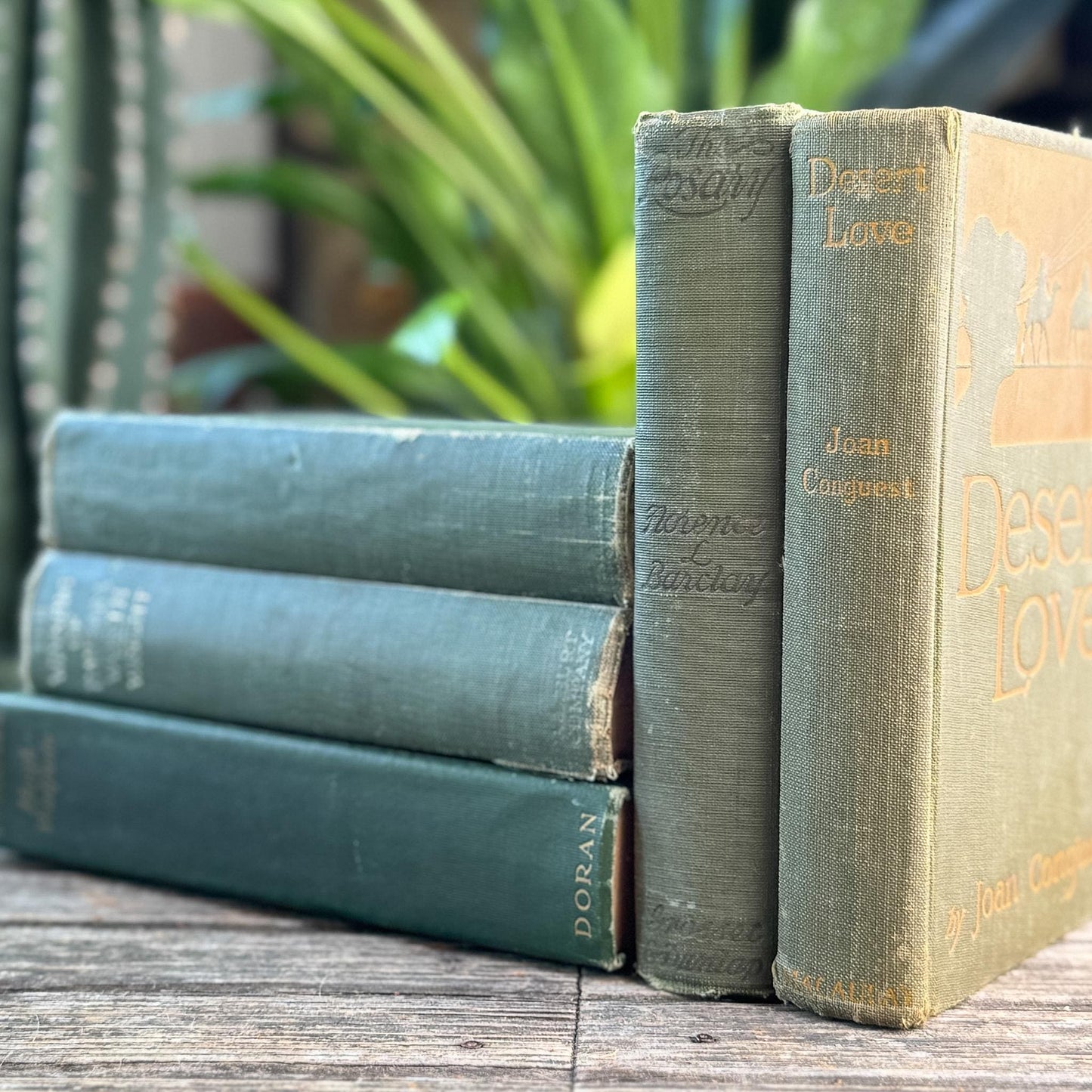 Antique Green Novel Bundle For Shelf Styling