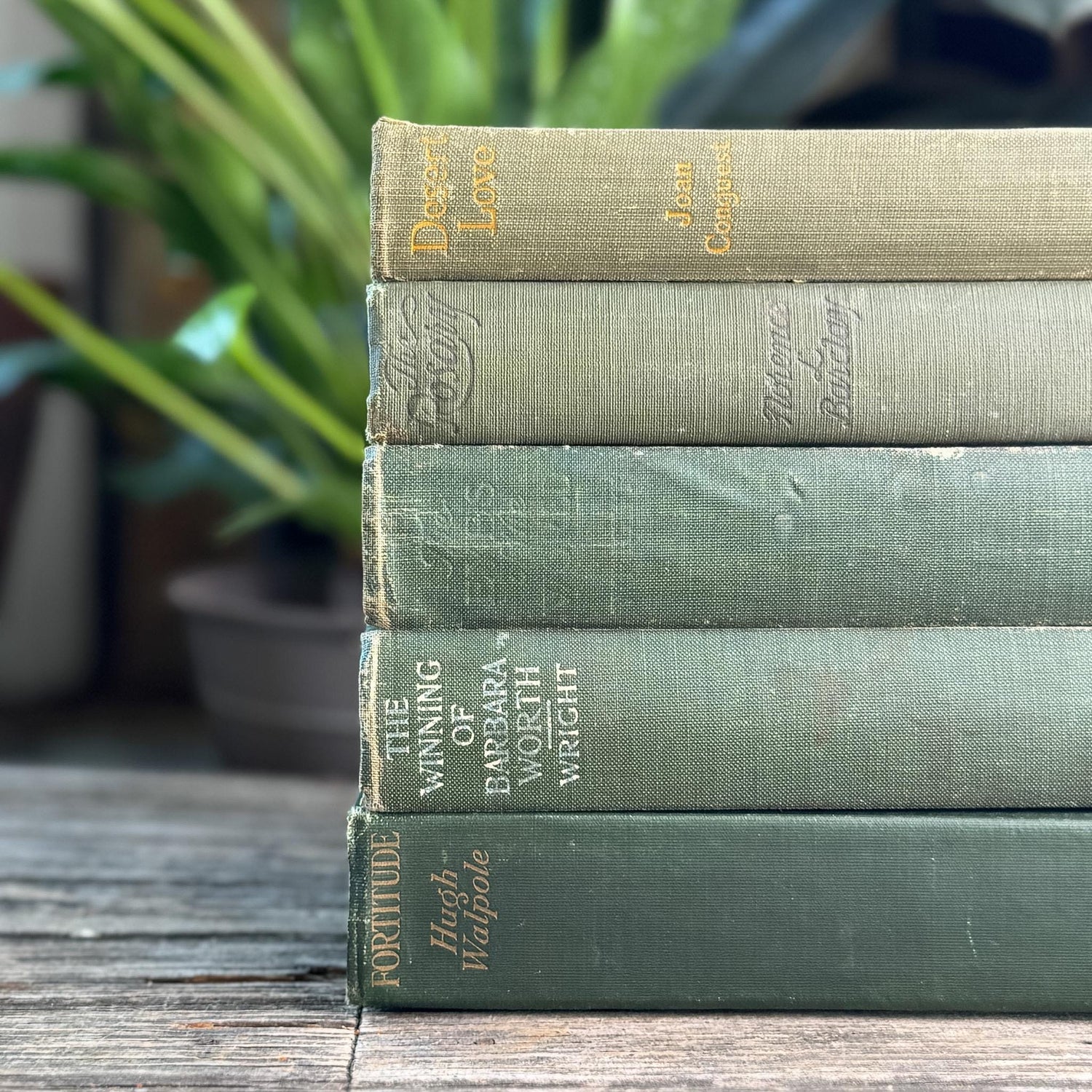 Antique Green Novel Bundle For Shelf Styling