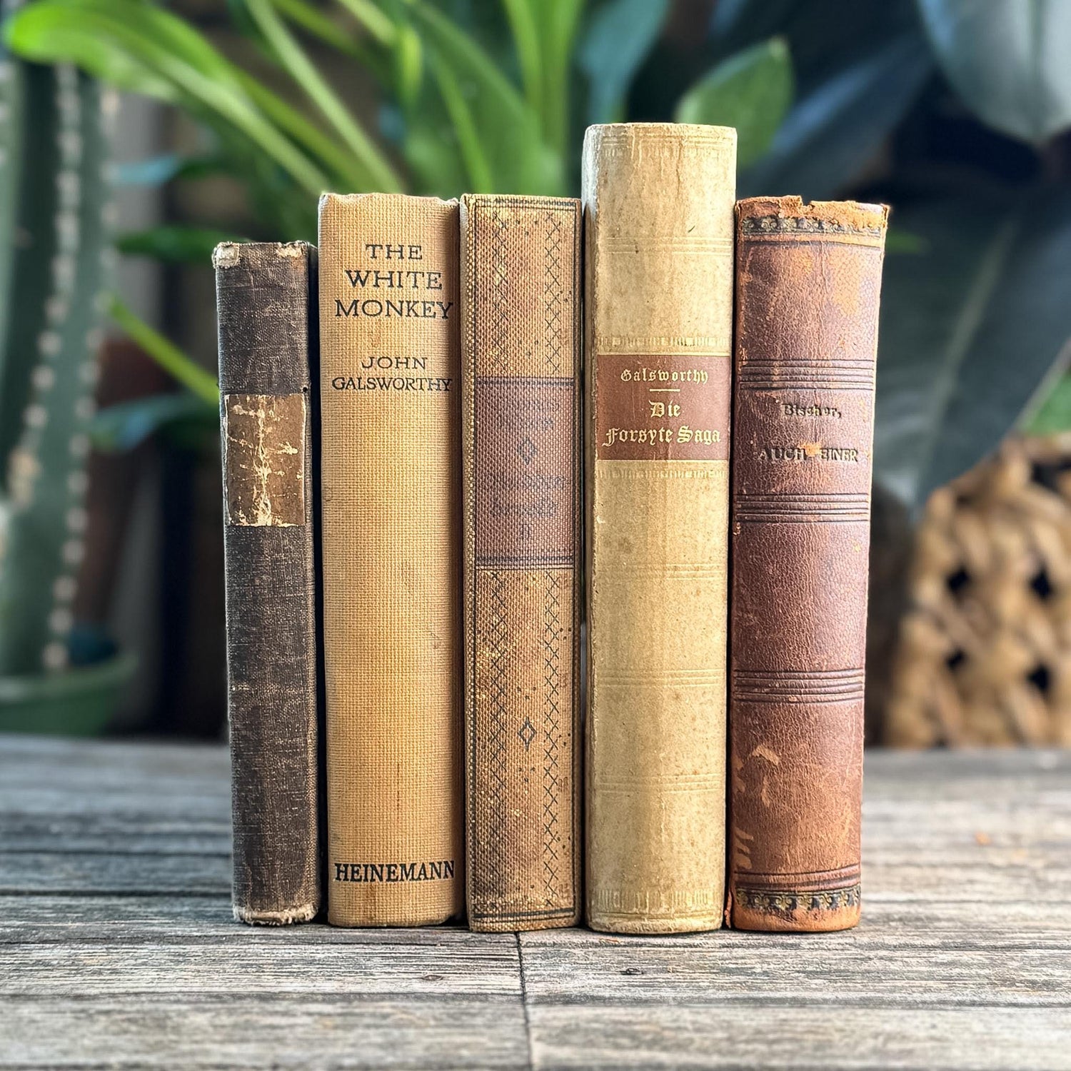 Antique Neutral Beige and Brown Linen and Leather Book Bundle