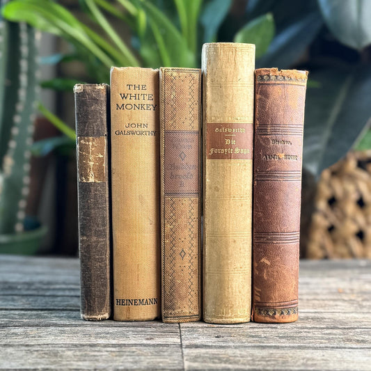 Antique Neutral Beige and Brown Linen and Leather Book Bundle
