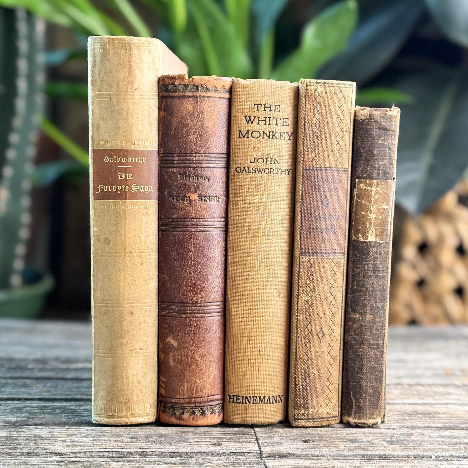 Antique Neutral Beige and Brown Linen and Leather Book Bundle