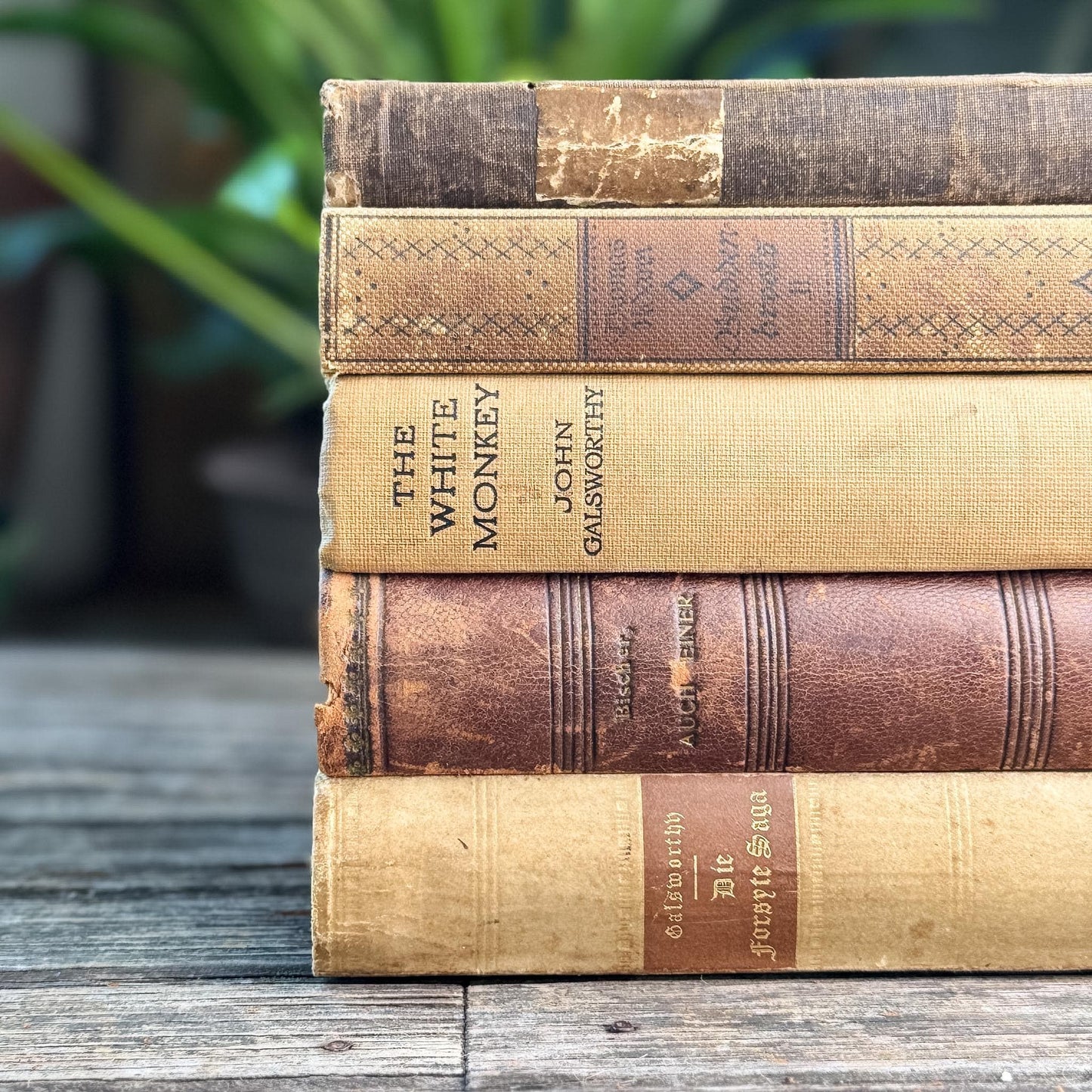 Antique Neutral Beige and Brown Linen and Leather Book Bundle