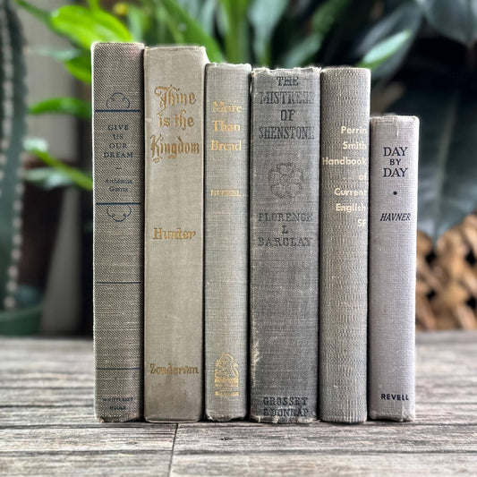 Soft Cozy Neutral Gray Books for Shelf Styling