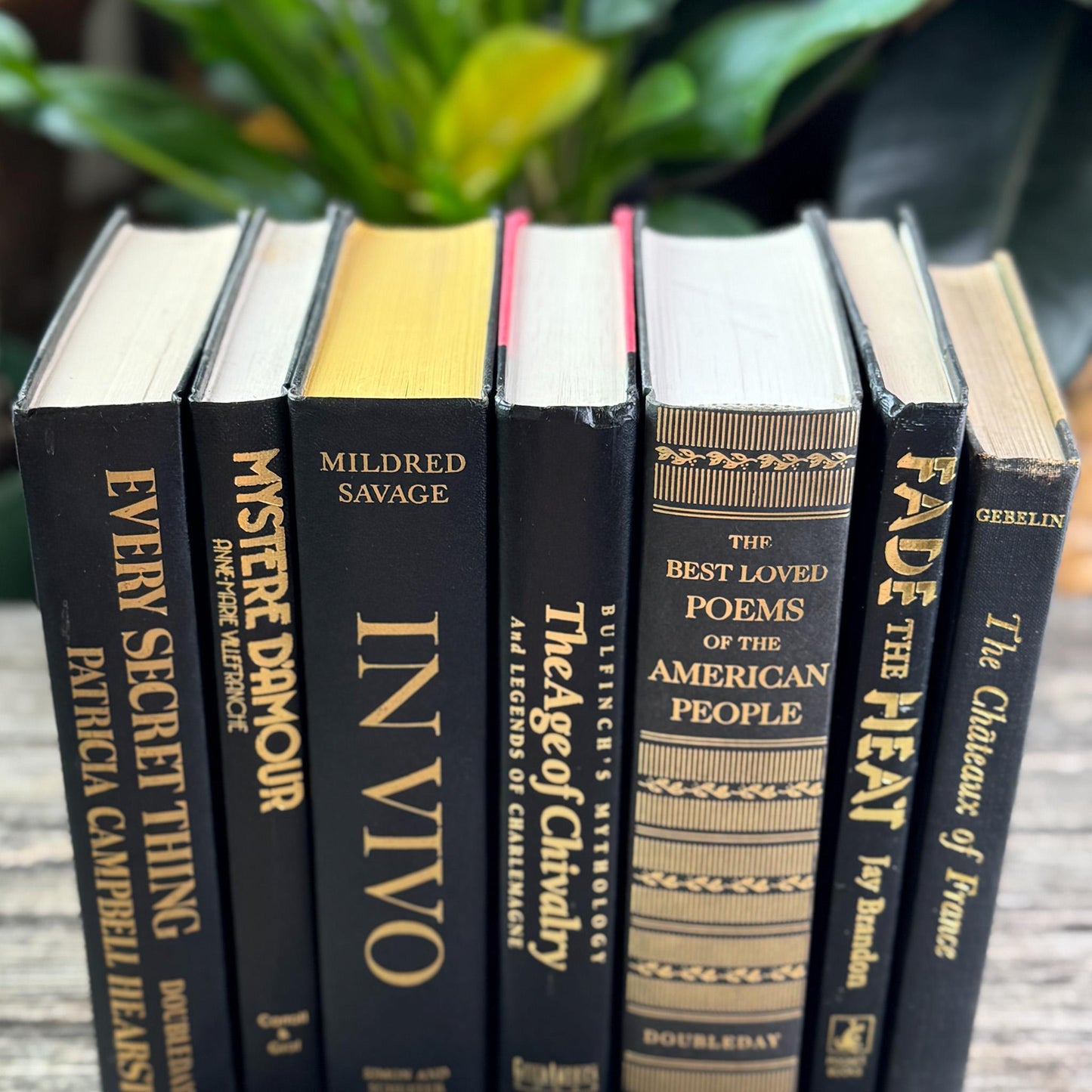 Black and Gold Vintage Book Set for Dark Academia Shelf Styling