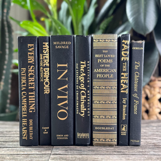 Black and Gold Vintage Book Set for Dark Academia Shelf Styling